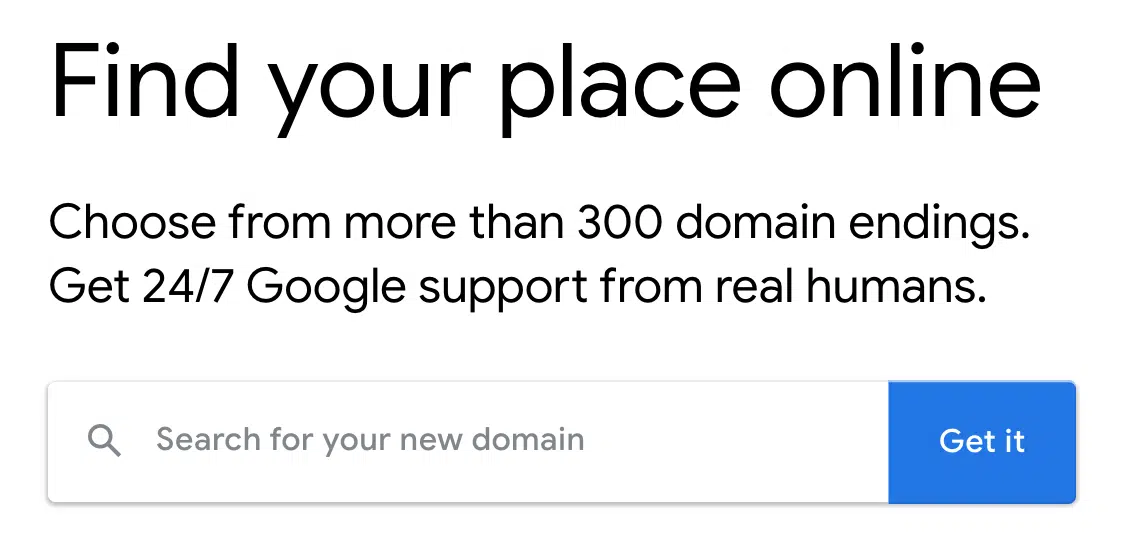Search for a domain in google domains
